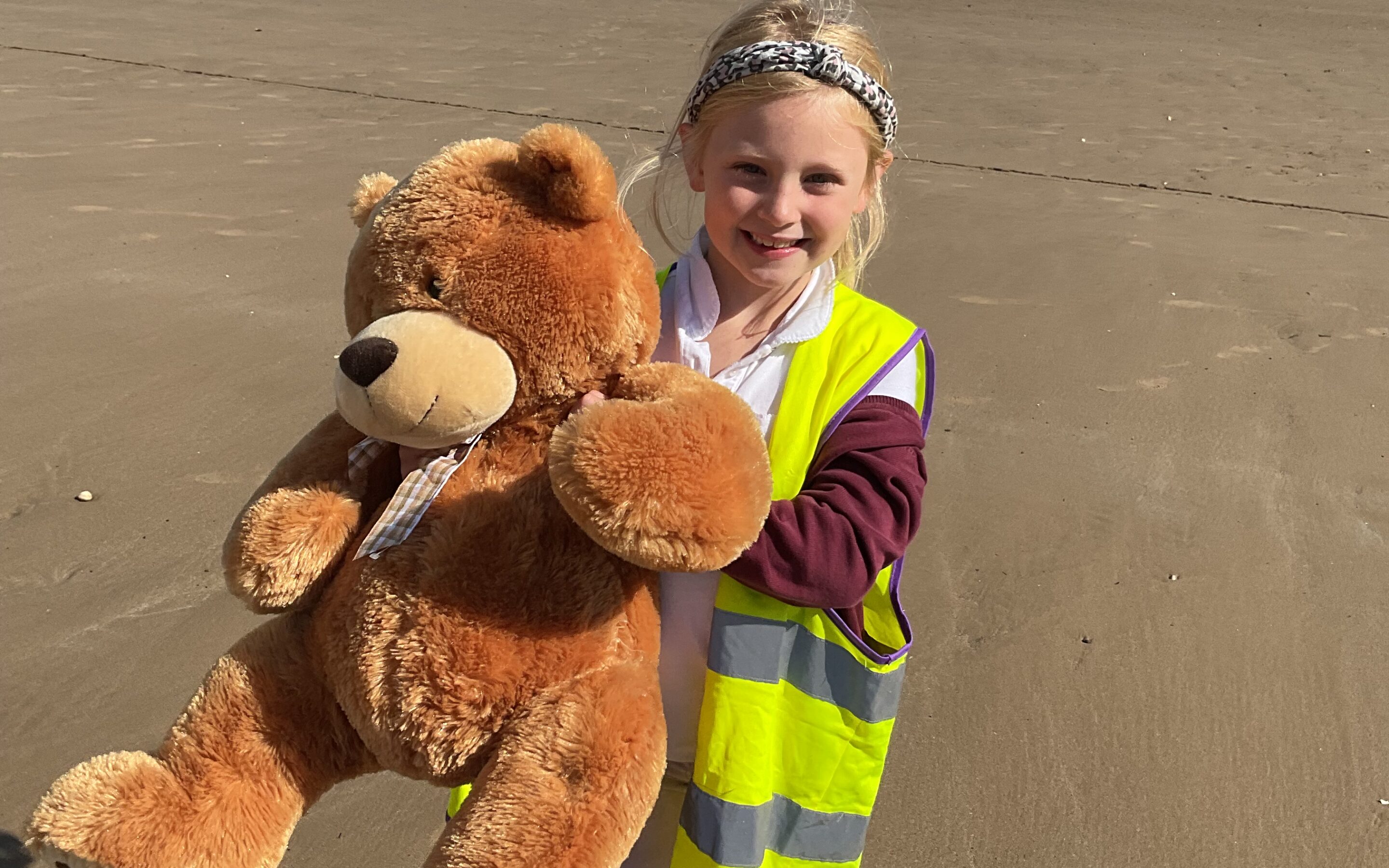 Our Teddy Bear’s Picnic